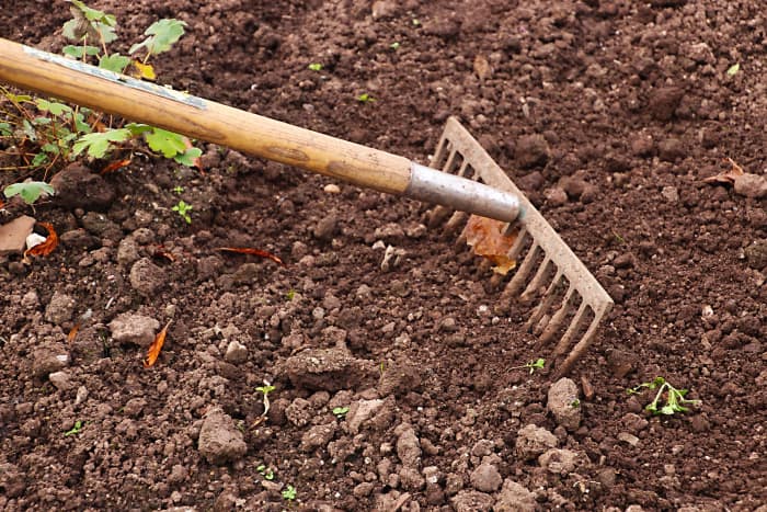 Don't just assume your plants will grow well in your garden soil. You may have to add soil amendments.