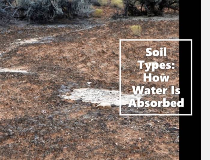 The type of soil in your garden has a unique structure that directly affects how water is absorbed.