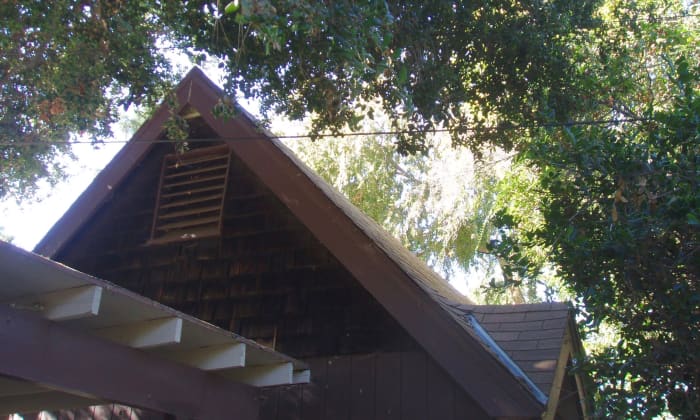 Shade trees are great for reducing heat inside of a house, but the best place to plant them is on the south side.This oak tree is in the southeast, so it helps. The one behind it is on the west side of the house.