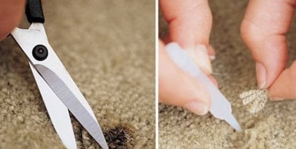 how-to-get-burn-marks-out-of-carpet-dengarden