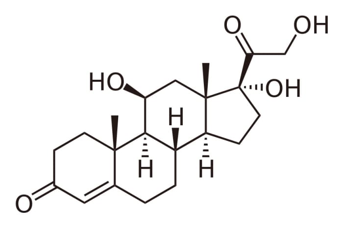 This is a molecule of cortisol, which is made by the adrenal gland. Like other steroids, it contains four fused rings in its structure.