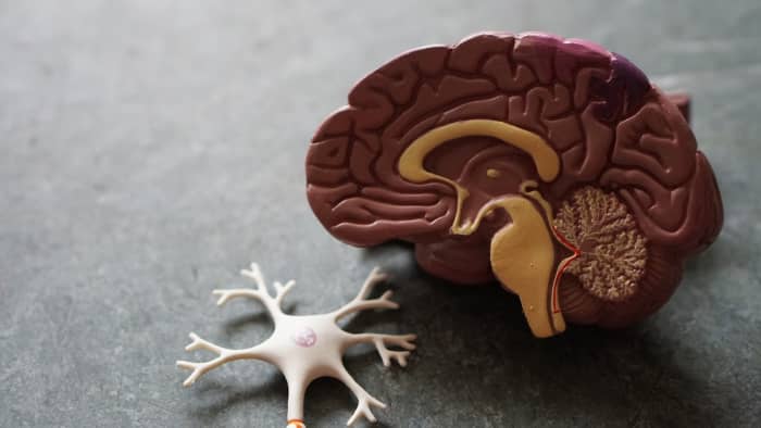 Bipolar disorder has affects multiple areas of the brain, leading to changes in cognition, mood, and behavior.