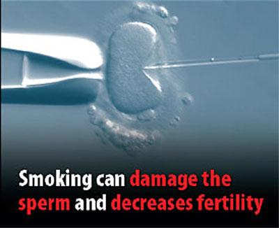 six-months-after-stopping-smoking-the-easy-way