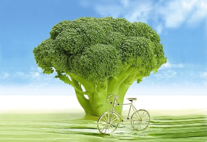 Nutritious vegetables such as broccoli are a great addition to anyone's diet, including people with a peptic ulcer.