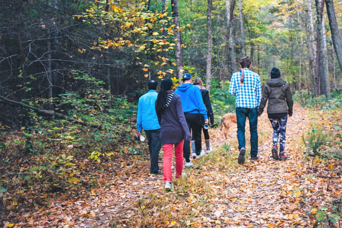 Regular walking in the countryside or in a city can boost the immune system and protect the body from viral infections.