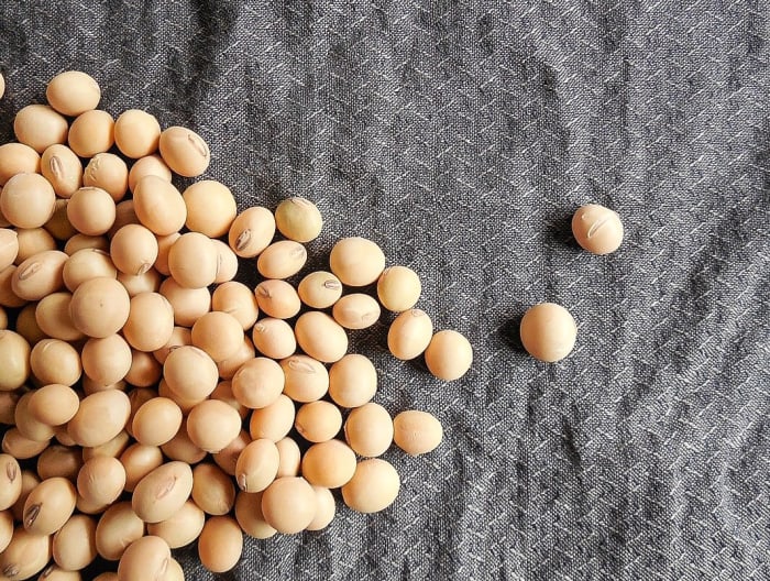 A soybean allergy may cause a swollen tongue or throat in some people, as I know from personal experience.
