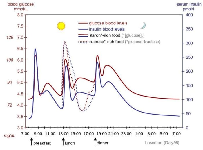 The dashed lines represent profiles after a lunch that is rich in table sugar (glucose, sucrose or fructose) instead of a starch-rich lunch (solid lines).
