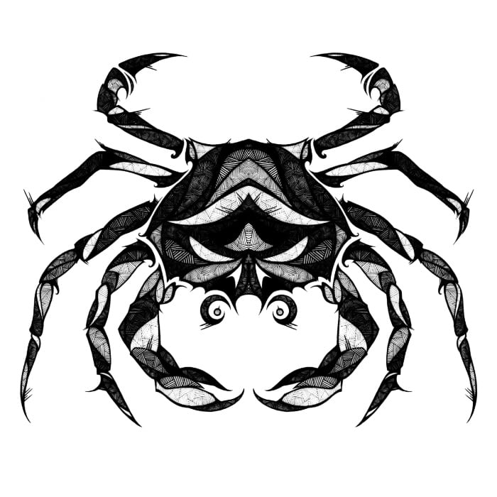 Old English, from Latin, ‘crab or creeping ulcer,’ translating Greek karkinos, said to have been used to name such tumors because the swollen veins around them resembled the limbs of a crab. Canker was the usual form until the 17th century.