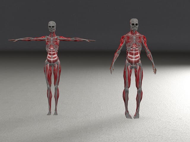Every human has unique characteristics and 3D models allow doctors pre-surgical practice on the model, before they operate on the patient.