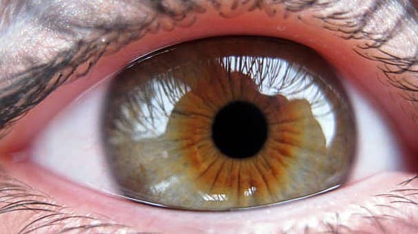 Contrary to what you learned in high school biology, new research has found eye color to be influenced by 16 genes rather than two. This makes predicting eye color difficult.
