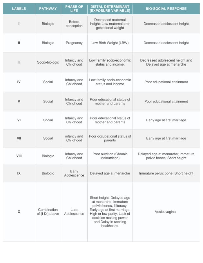 A number of studies have shown associations between the listed determinants and their respective bio-social responses.