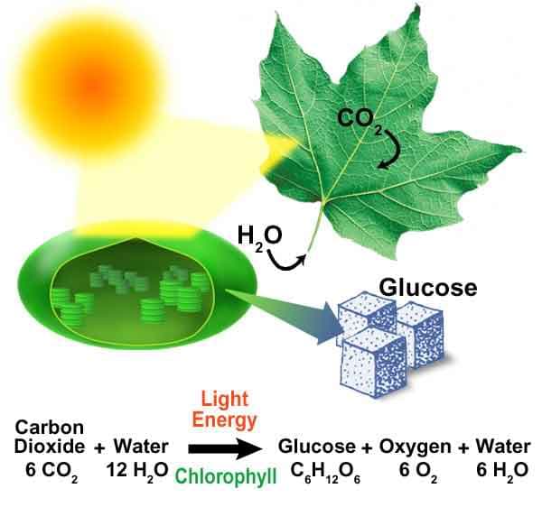 chemical-reactions-and-chemical-equations-owlcation