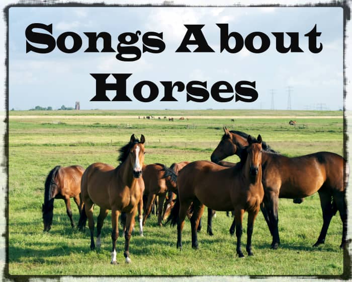 Celebrate your love of horses with a playlist of pop, rock, and country songs about them.