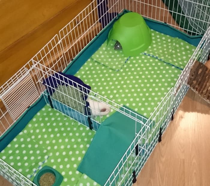How to Make Guinea Pig Cage Liners: DIY Fleece Bedding - PetHelpful