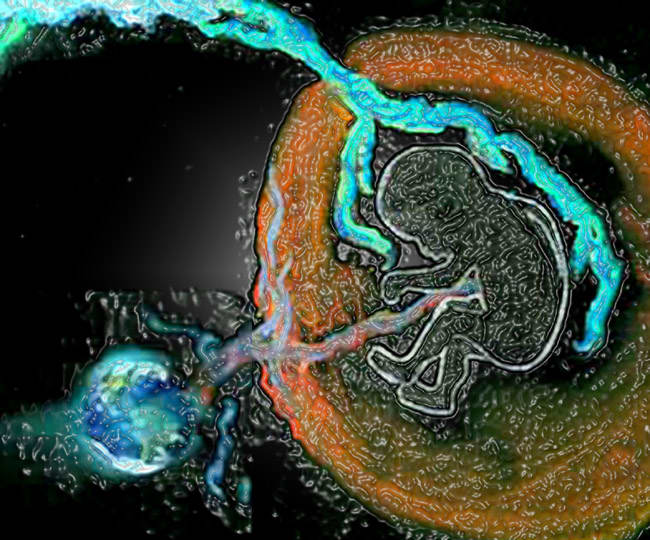 Fetus floating in amniotic fluid in space with umbilical to earth. Soft pastel on black paper altered in PhotoShop, an illustration for Gift of the Gruldak, a serialized sci-fi novel.