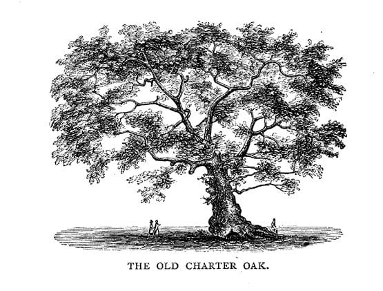 The Charter Oak—a Symbol of Peace and Freedom - Owlcation