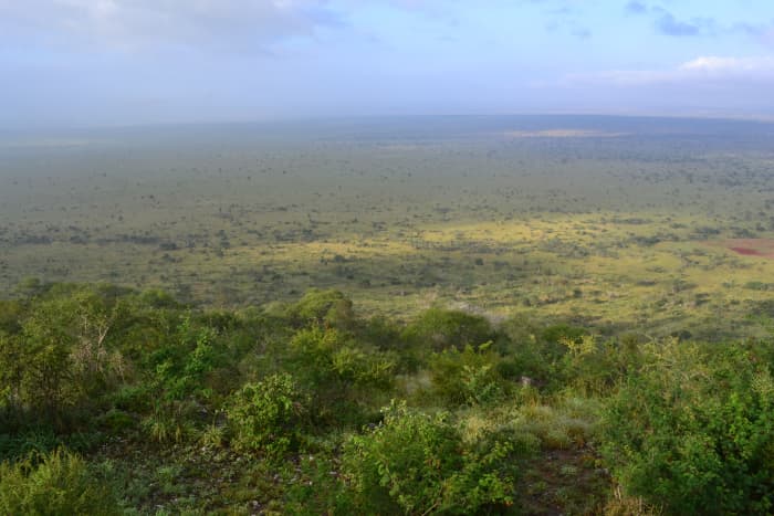 Kora National Park