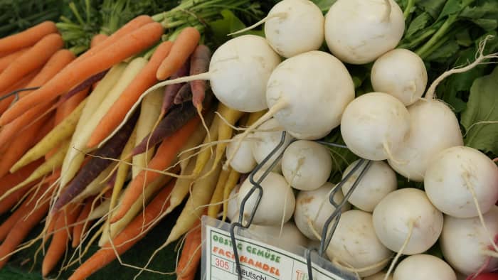 Root vegetables are more exciting than you think! Learn fun facts, recipes, and history about these fun veggies.