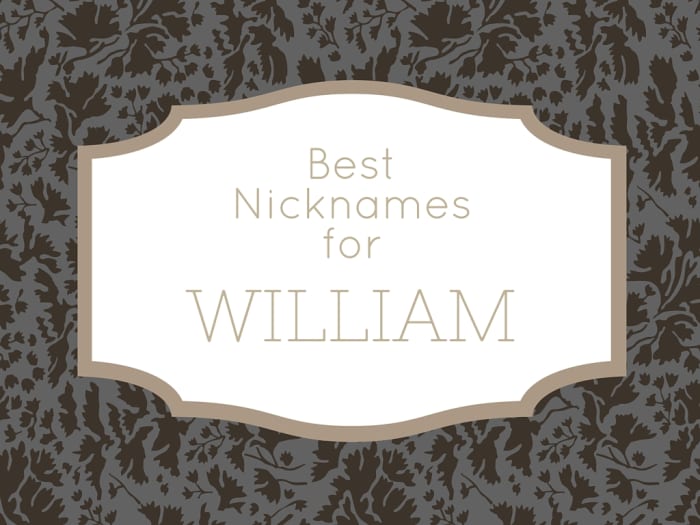 best-nicknames-for-william-wehavekids