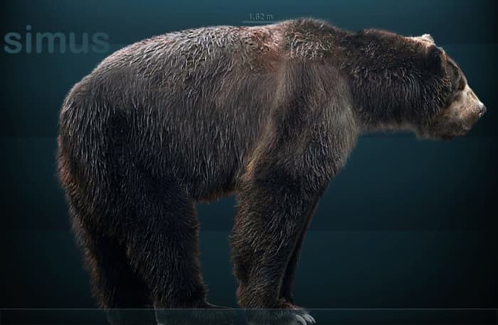 Do alleged short-faced bear sightings mean this prehistoric bear is still alive today?