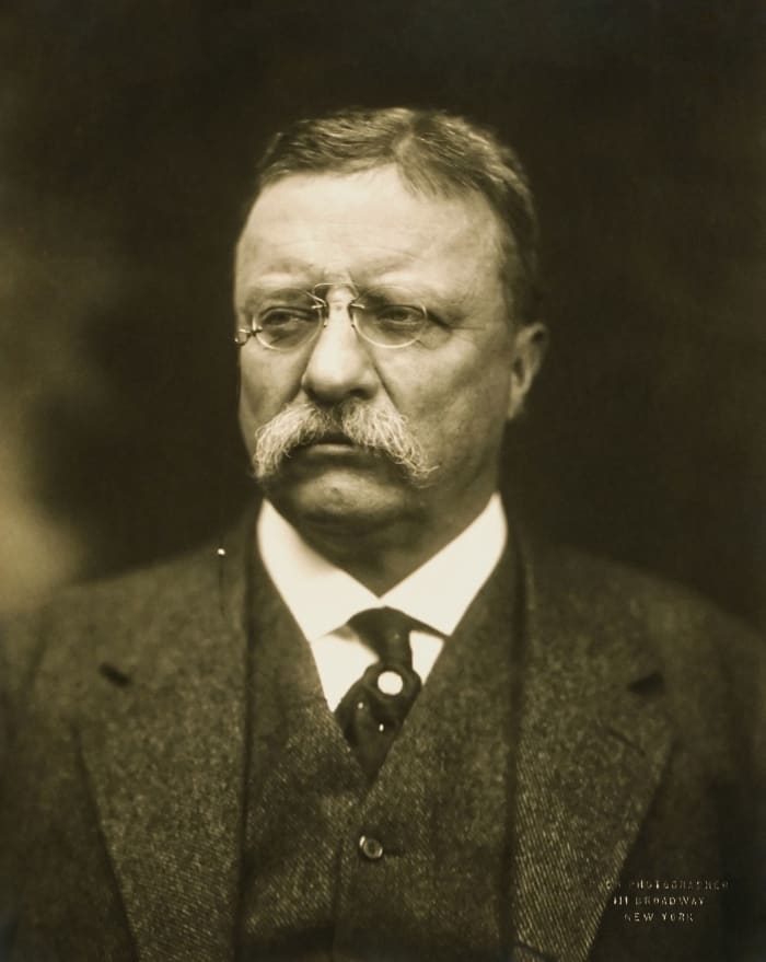 President Theodore Roosevelt was born to a wealthy family in New York, New York.