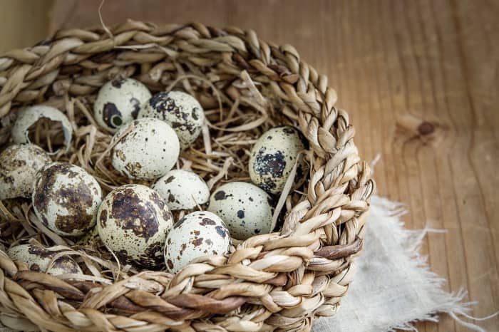 A basket of quail eggs