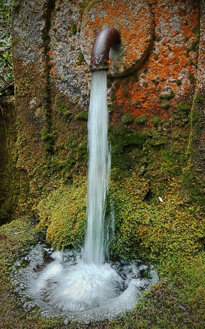 In a survival setting the single most important skill you can have is knowing how to obtain potable water.