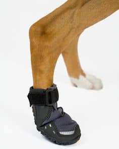 Ботиночки для собак для защиты их чувствительных лап.