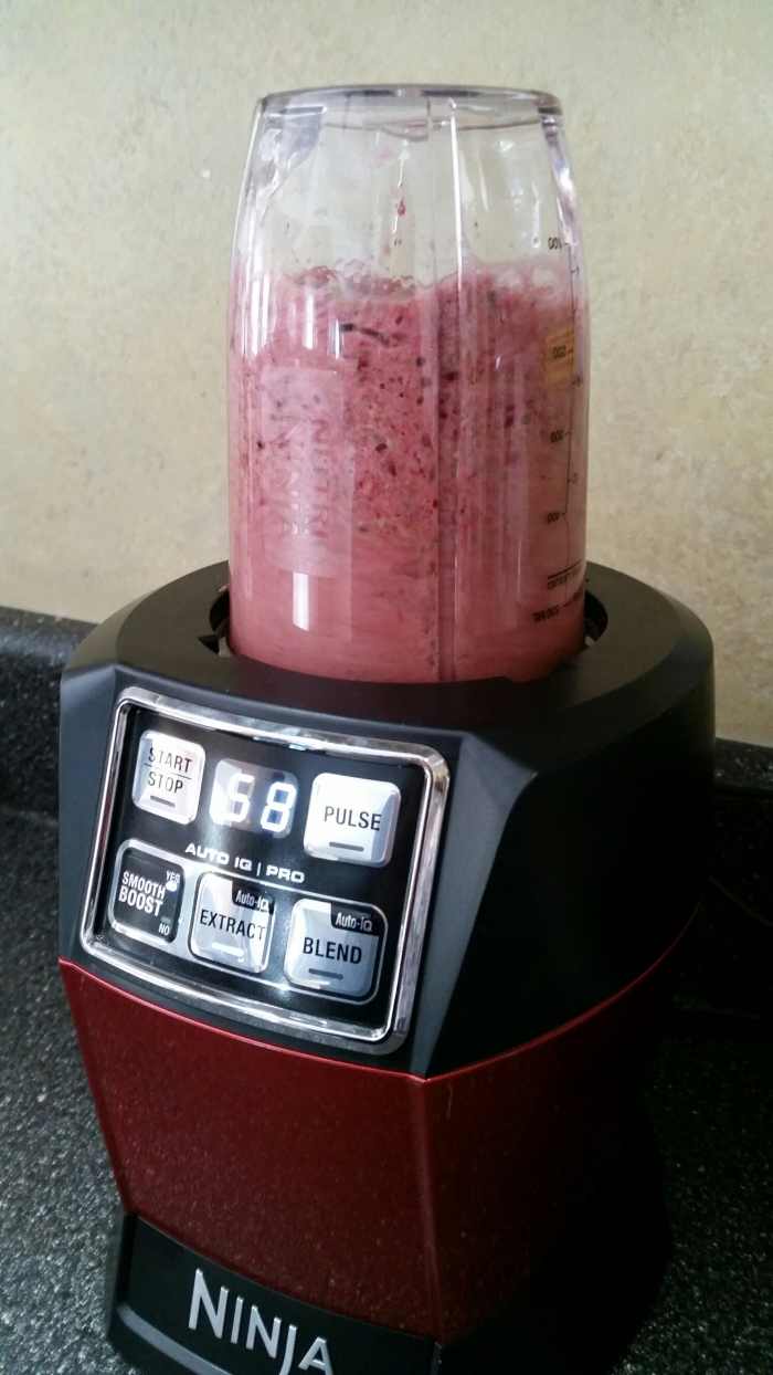 Nutri Ninja Auto iQ Review Worth It? Delishably