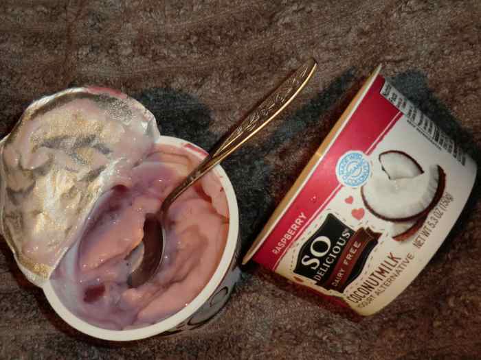 A Review of So Delicious Coconut Milk Alternative Yogurt Delishably