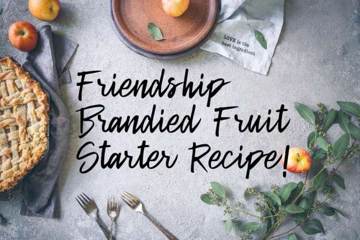 friendship-brandied-fruit-starter-and-cake-recipes-delishably