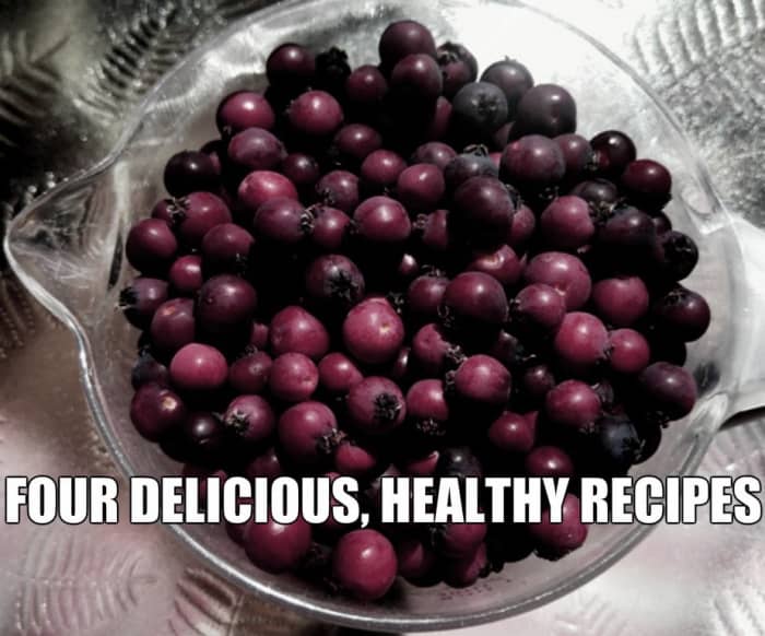 Beautiful, hearty, delicious, healthy, prolific—the saskatoon berry is a super food!