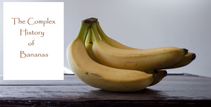 Bananas are eaten around the world. Their history is as complex as the places where they grow. Read on to learn more.