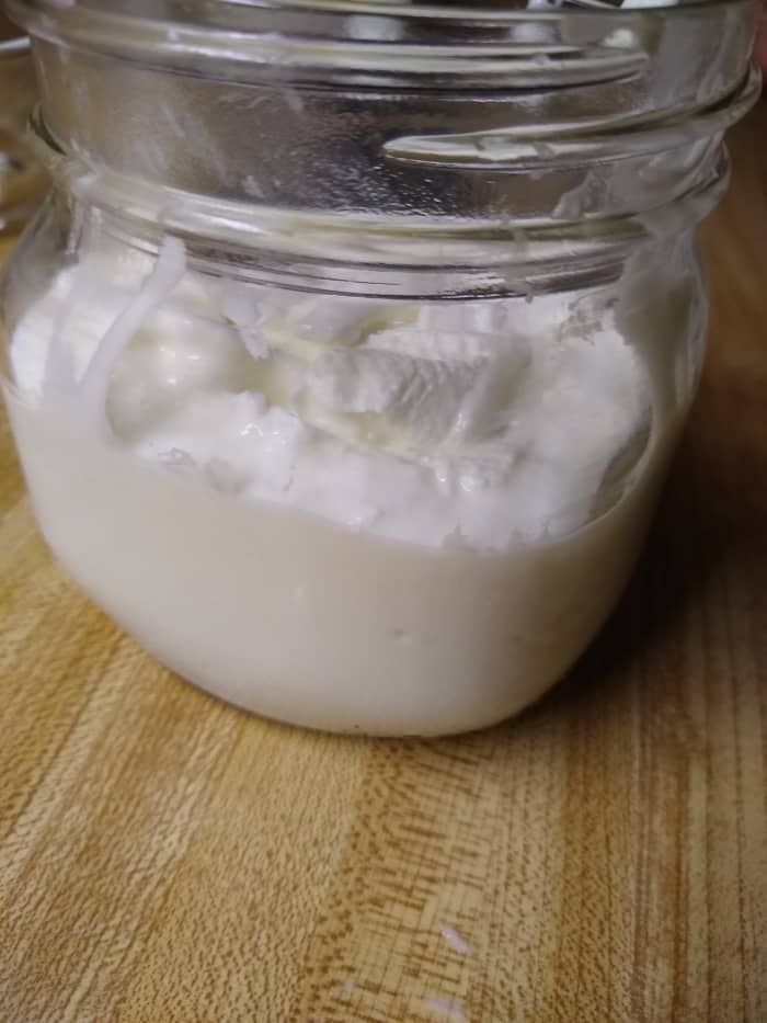 Step-by-Step Homemade Yogurt in a Thermos - Delishably