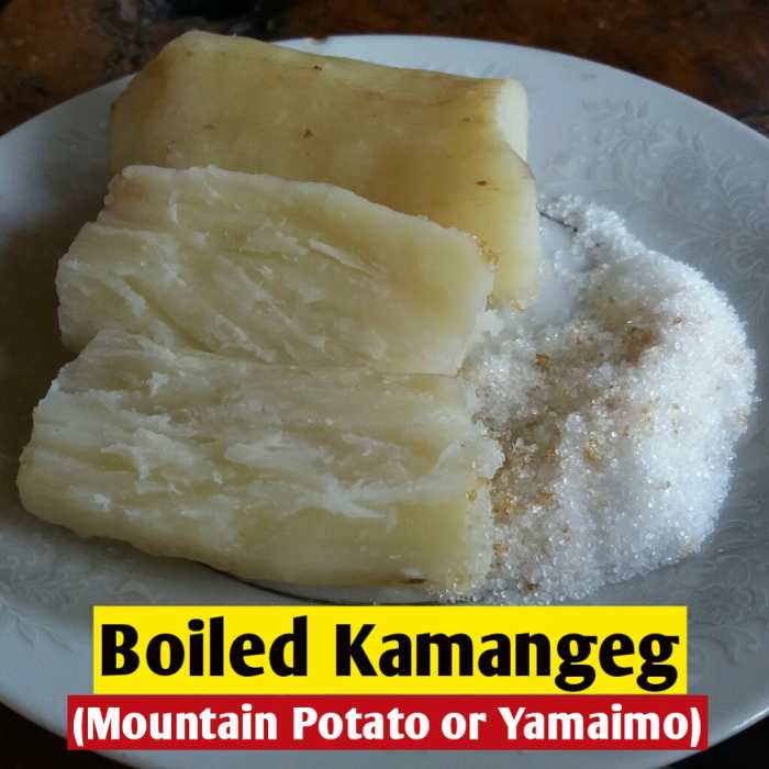Boiled kamangeg, also known as mountain potato or yamaimo, is a tasty snack.