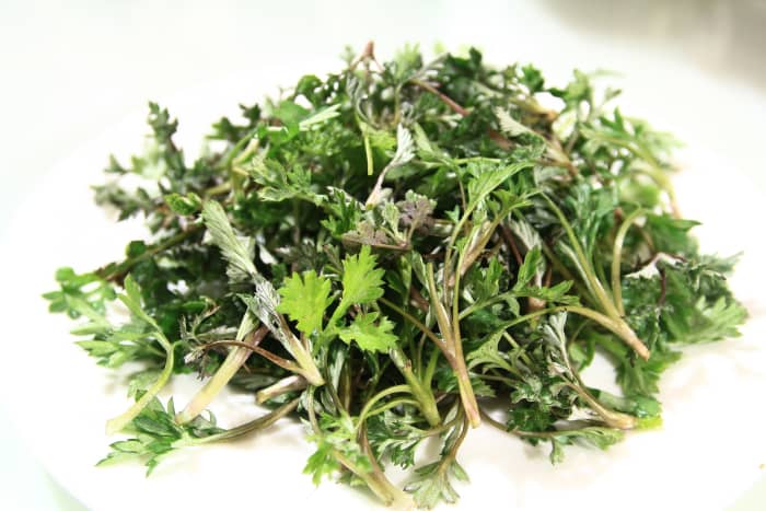 Wormwood is not only useful at treating cold and flu symptoms, but, as the name suggests, it can be used to rid humans of parasitic worms.