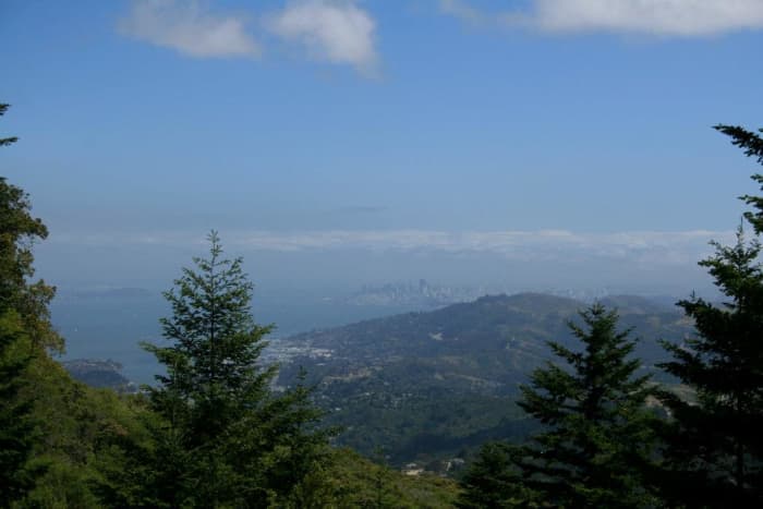 Several of the trails on Mt. Tamalpais offer stunning views of the land below, including the city of San Francisco.