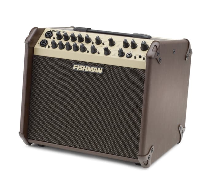 10 Best Acoustic Guitar Amps For Gigs - Spinditty