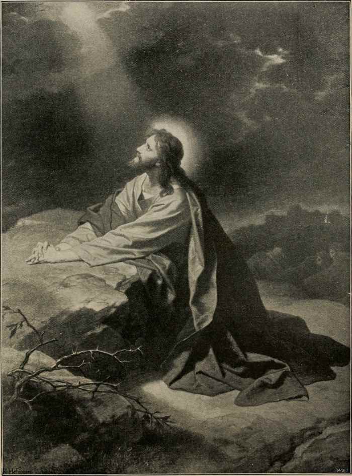 Image from page 1126 of The art Bible, comprising the Old and new Testaments with numerous illustrations 1896.