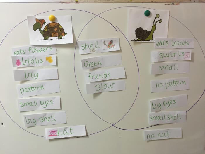 Venn Diagram Teaching And Learning And Business Model Venn S