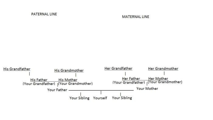 You should end up with a diagram that looks something like this one for your first attempt. (Oooh, look: you're not a mutt--you have a pedigree!)
