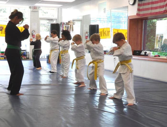 Kids martial arts are a good way to instill patience, respect, discipline, and ethics in children.