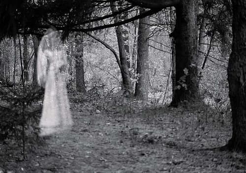 Investigative Attempts to Uncover Illusive British Ghosts - Exemplore