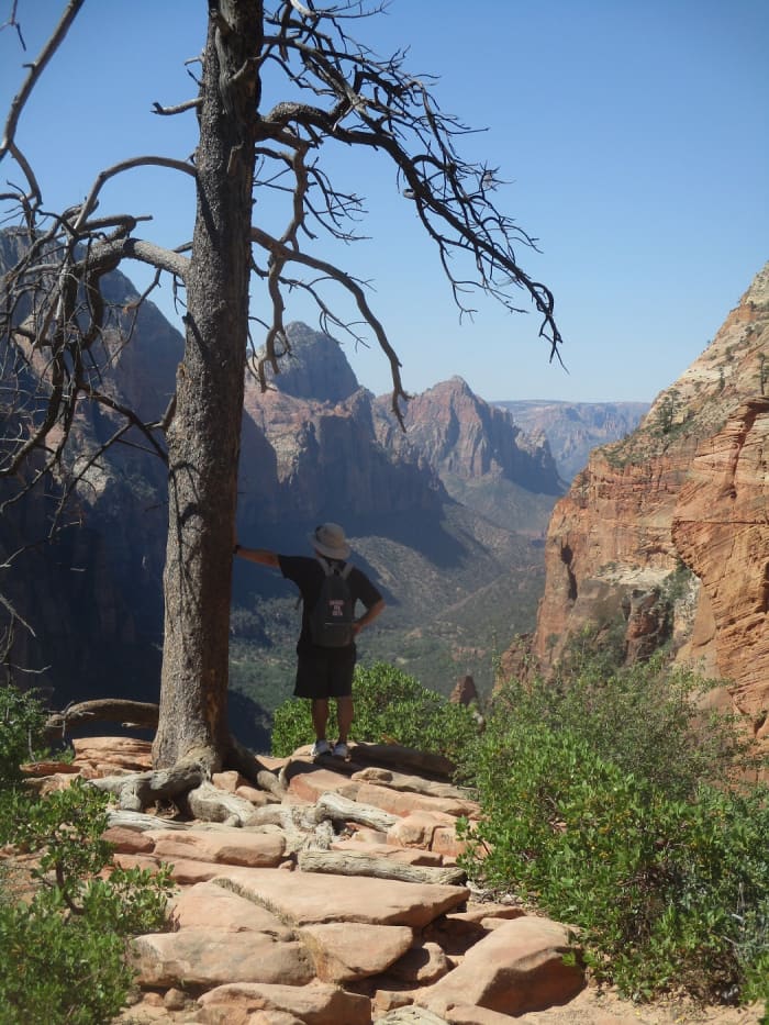 This lone dead tree provides relief from the crowds as well as a spectacular view of Zion Canyon, photo by author
