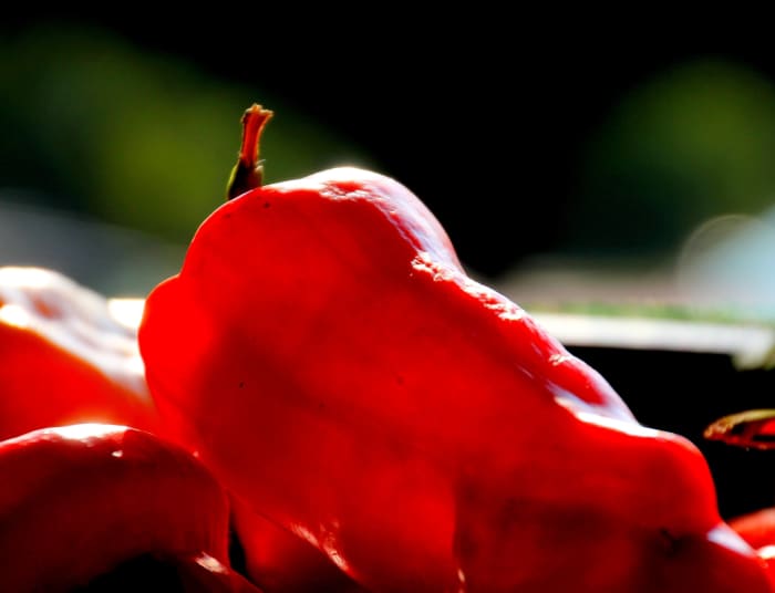 Hot peppers get their heat from a compound called capsaicin