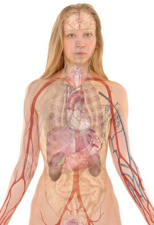 In a standing position, place your hands on your abdominal area to feel the expansion. Eventually, move the hands to the sides for feeling additional expansion from the waistline and lower rib cage.