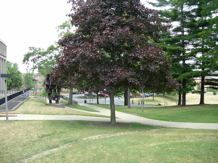 Photo taken from the perspective of the Ohio National Guard soldiers when they opened fire on the students.