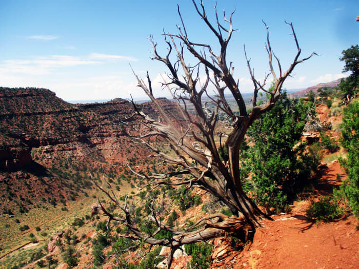 The hills surrounding Kanab, UT abound in beautiful scenery and challenging hiking trails.