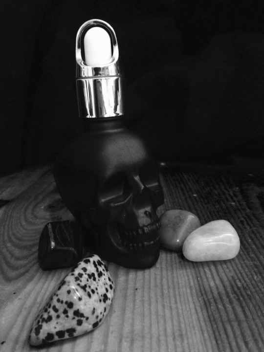 corpore-sanctum-studio-skincare-review-skull-stem-cell-face-serum