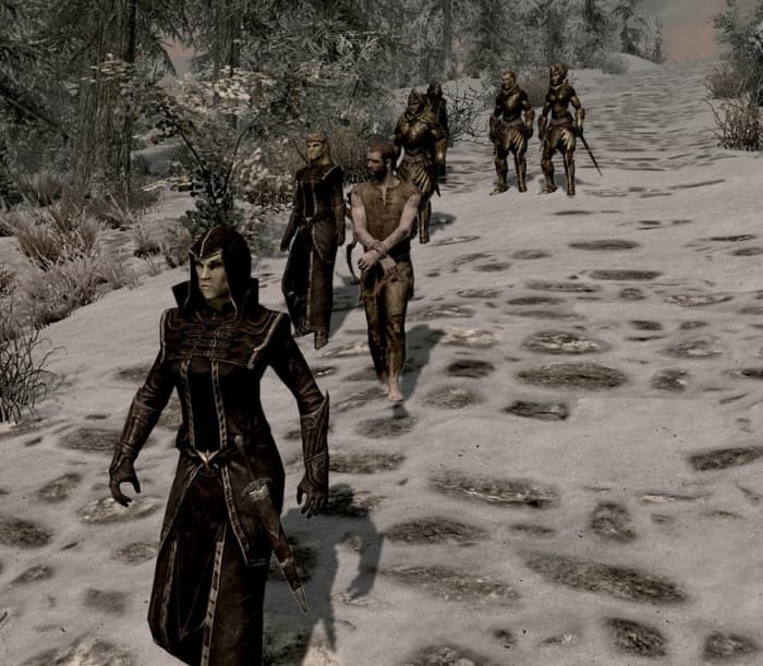 A Thalmor patrol, consisting of Thalmor Justiciar and Thalmor soldiers escorting a Talos worshiper to his demise.